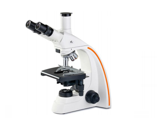 �z�y(c��)�O(sh��)��